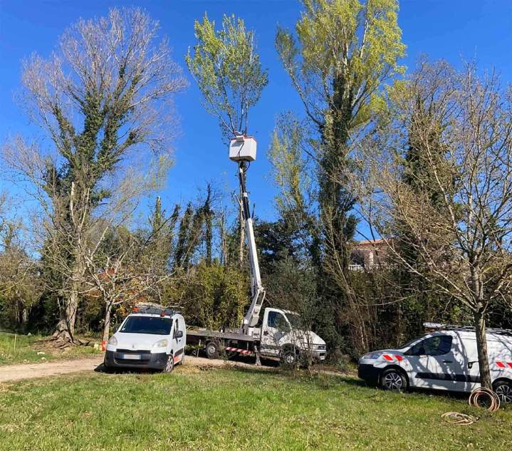 Élagueur-grimpeur Castelsarrasin